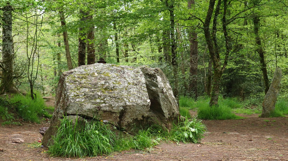 Retour sur les week-ends 2023 à Brocéliande !