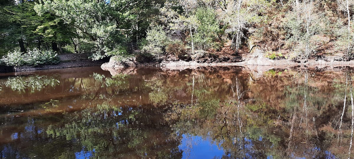 Retraite pour hommes à Brocéliande