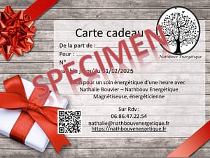 carte cadeau séance nathbouv energetique