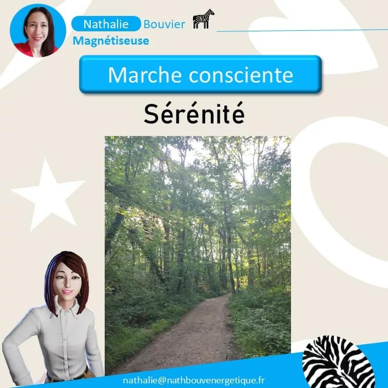 Balade consciente en forêt