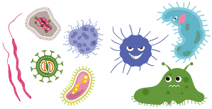 dessins de virus et bactéries